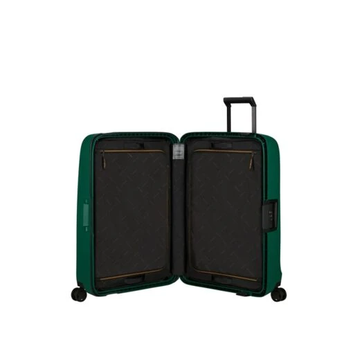 Samsonite Essens Spinner 69 Alpine Green -Samsonite image 1916